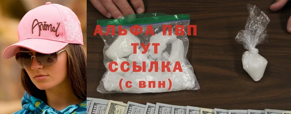 крисы Алзамай
