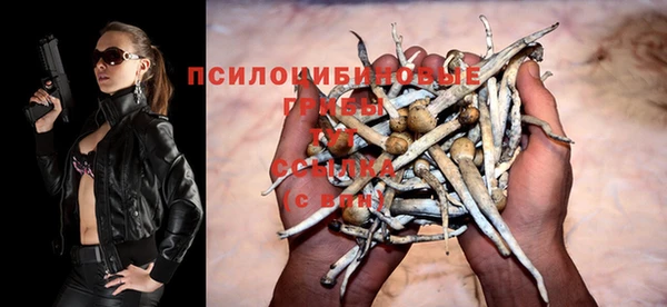 синтетический гашиш Алексеевка
