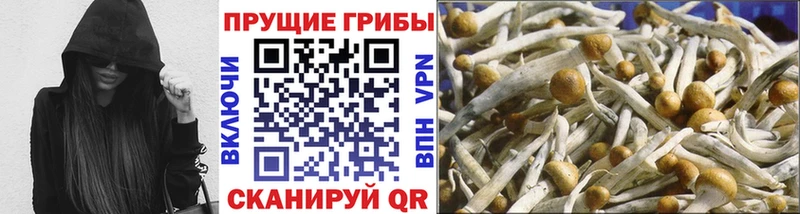 Галлюциногенные грибы Cubensis  Россошь 