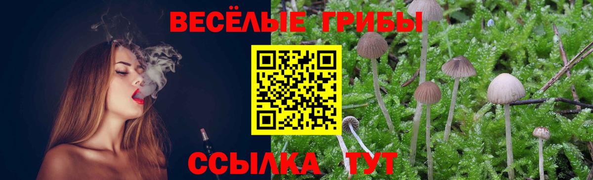 Галлюциногенные грибы прущие грибы Россошь